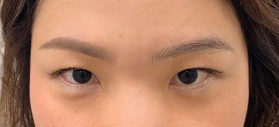 Comparison: misty brow on the left, feathered wild brow on the right