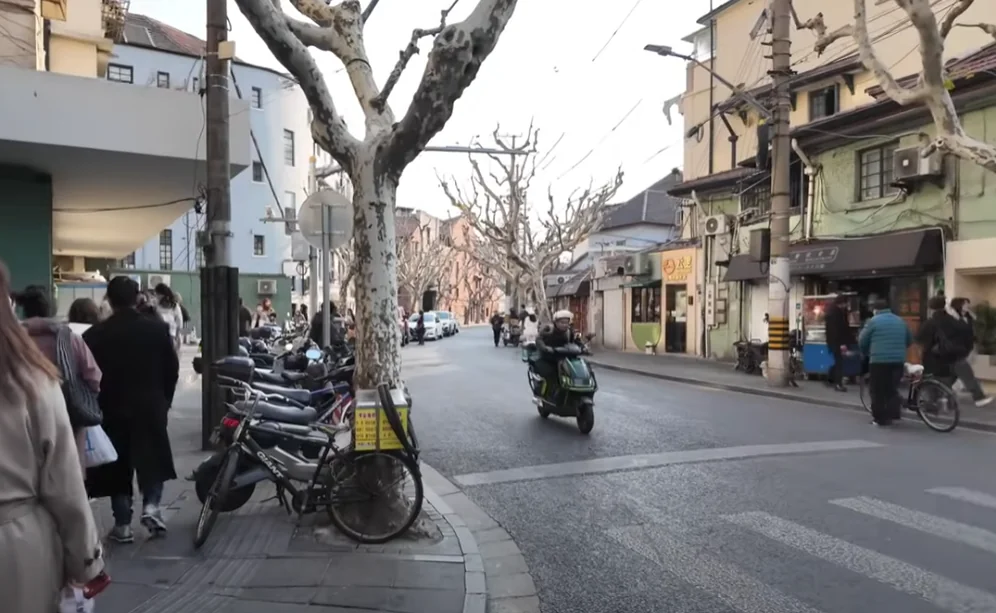 A quiet plane-tree-lined Shanghai street