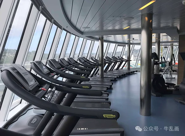 Rows of treadmills facing floor-to-ceiling windows in the gym